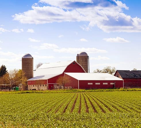 Image of red Nashville, TN farm house, with rows of crops that are now covered by Crop, Crop-hail, and Multi-Peril Crop Insurance